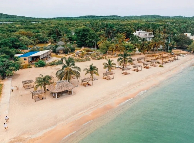 Fenix Beach Cartagena Logo