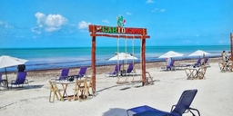 Beach Bar Carioca's Logo