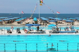 Balena Beach Club, Pools & Restaurant Logo